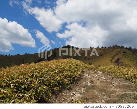 Mountain trail in Okawa Iriyama 50583269