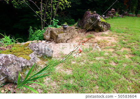 Mt. Halla, forest, valley, 50583604
