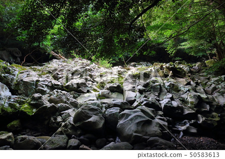 Mt. Halla, forest, valley, Mt. Halla, forest, valley, 50583613