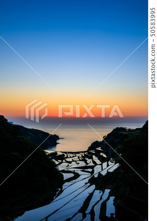 在Hamanoura [佐賀縣]的梯田日落之後 50583995
