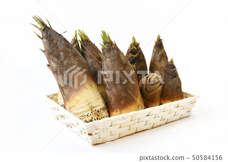 新鮮的竹筍 50584156