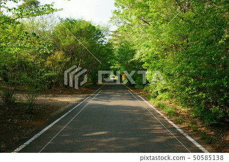 一條路 50585138