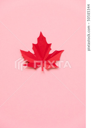 red maple leaf cut from paper on pink background red maple leaf cut from paper on pink background 50585344