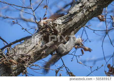 taページ 部品】ウォッシュマン/マイセカンドランドリーハイパー 共通 糸