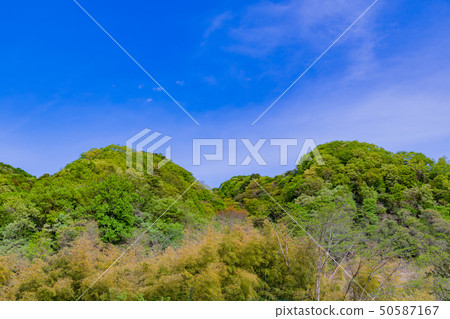 Shizuoka Prefecture Izu City Fresh green mountain range 50587167