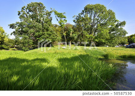 Sundao Mountain Old Town Daisen Park (Kashiwa City, Osaka Prefecture) 50587530