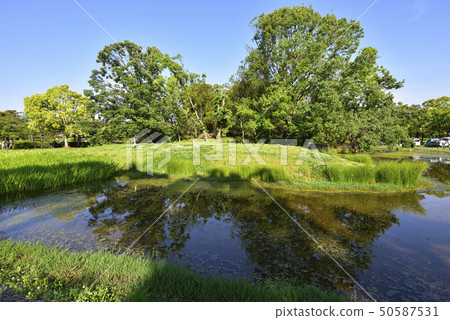 Sundao Mountain Old Town Daisen Park (Kashiwa City, Osaka Prefecture) 50587531