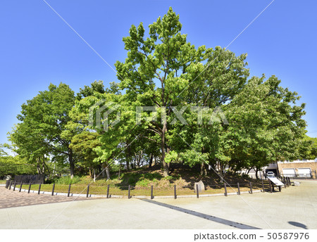 戶塚塚(大阪府坂井市) 戶塚塚(大阪府坂井市) 50587976