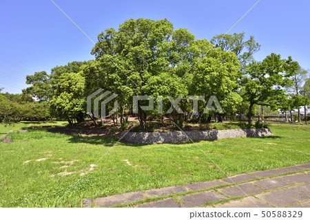 Flag mound Kosen Daisen Park (Osaka Prefecture Sakai City) 50588329