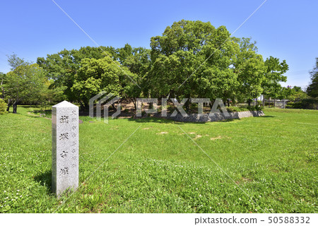 Flag mound Kosen Daisen Park(大阪府Sak市) Flag mound Kosen Daisen Park(大阪府Sak市) 50588332