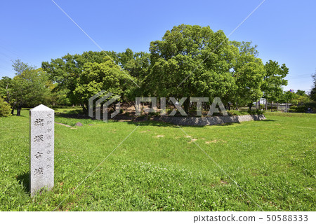 Flag mound Kosen Daisen Park(大阪府Sak市) Flag mound Kosen Daisen Park(大阪府Sak市) 50588333