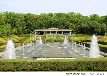 金代植物公園的噴泉 金代植物公園的噴泉 50588371