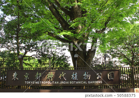 Kamishiro botanical park entrance 50588375