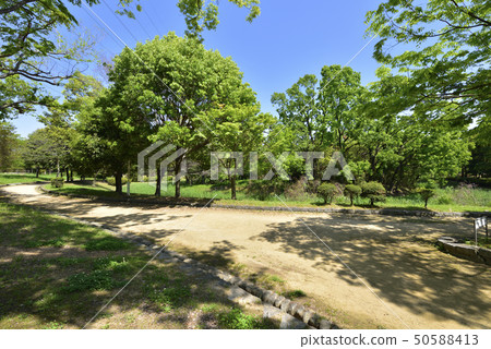 Guwasho Botan (Osaka Prefecture Sakai City) 50588413