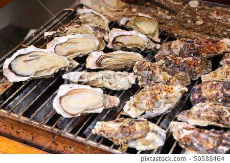 Grilled oysters 50588464