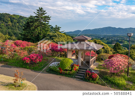 Kasama杜鵑花公園 50588841