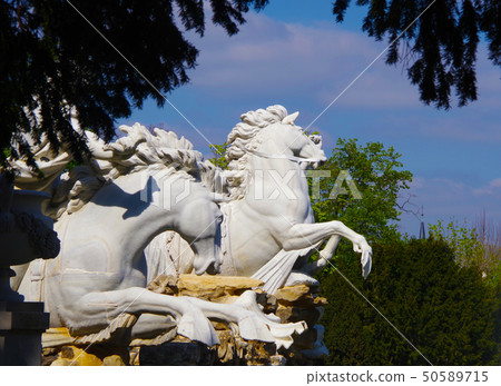 Neptune Fountain at Schonbrunn Palace Neptune Fountain at Schonbrunn Palace 50589715