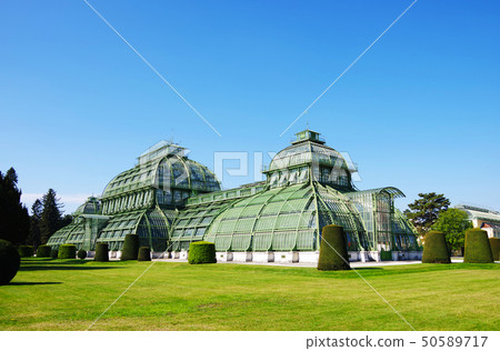 Schonbrunn Palace Conservatory/Palmenhaus Schonbrunn Palace Conservatory/Palmenhaus 50589717