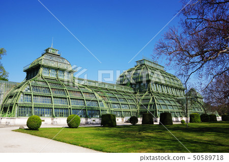 Schonbrunn Palace Conservatory/Palmenhaus Schonbrunn Palace Conservatory/Palmenhaus 50589718