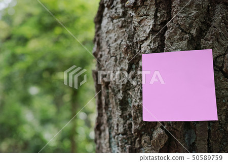One pink sticky note on a tree trunk in the forest One pink sticky note on a tree trunk in the forest 50589759