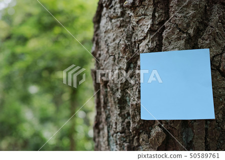 在一個樹幹的一個藍色稠粘的筆記在森林裡 50589761