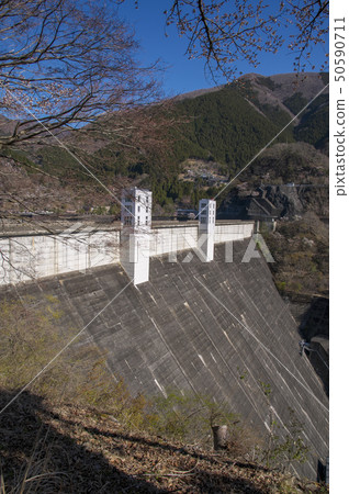 Okutama Lake Embankment when cherry blossoms bloom 50590711