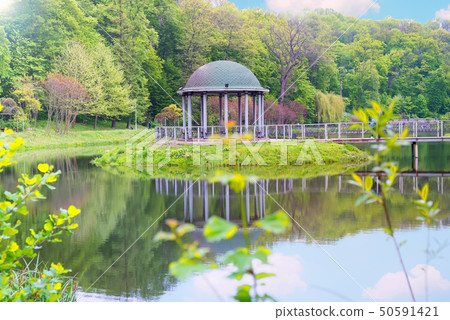 pavilion at the pier, spring scenery after the rain, lake constance, ukraine pavilion at the pier, spring scenery after the rain, lake constance, ukraine 50591421