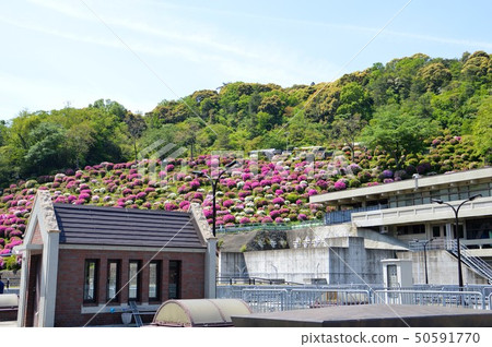 京都·Kegami水處理廠 50591770