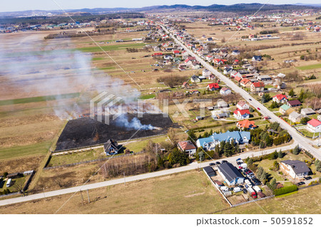 Forest and steppe fires dry completely destroy the 50591852