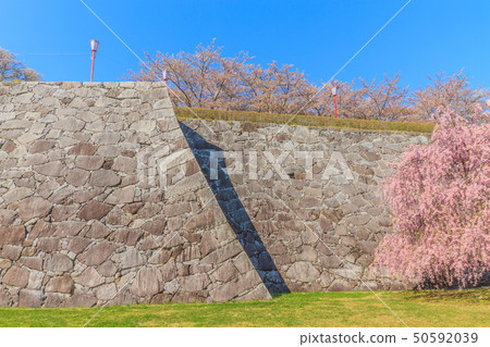 Scenery of Morioka castle in spring 50592039