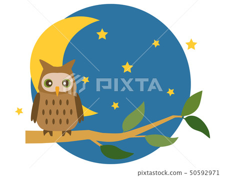 Owl 5 Owl Owl 5 Owl 50592971