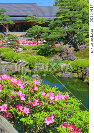 [Shimane Prefecture] Pond Izumi Peony in Yushien 50594417
