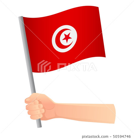 Tunisia flag in hand 50594746