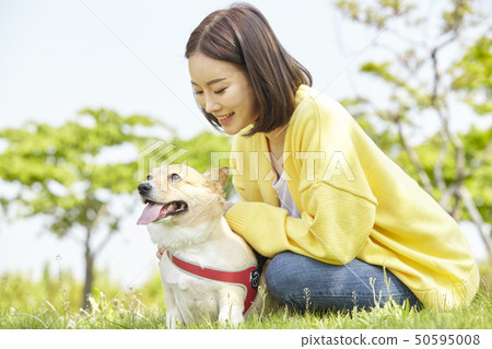 健康,小狗,走路,年輕的女人 健康,小狗,走路,年輕的女人 50595008