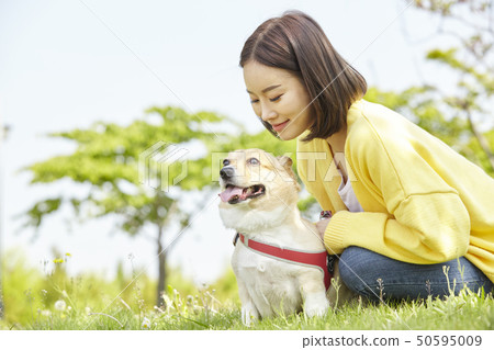 Wellness, puppy, walking, young woman Wellness, puppy, walking, young woman 50595009