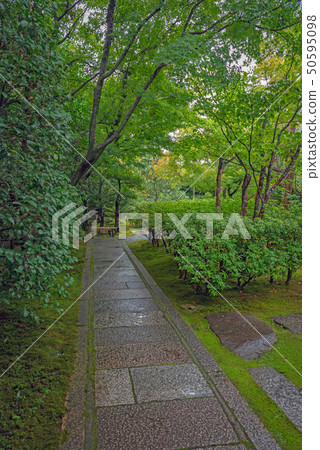 雨後的Ayutokuin方法 雨後的Ayutokuin方法 50595098