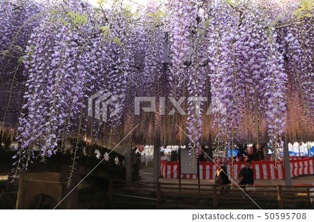 Yanagawa City Nakayama Ofuji Festival 50595708