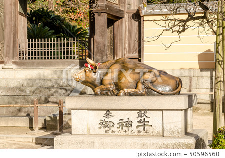 Bronze bull statue in Dazaifu shrine in Fukuoka Bronze bull statue in Dazaifu shrine in Fukuoka 50596560