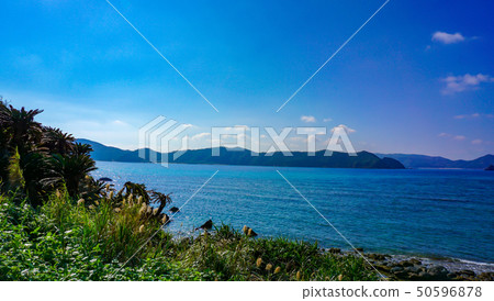 Beautiful beaches of Amami Oshima-Amami Oshima beautiful coast 39 Beautiful beaches of Amami Oshima-Amami Oshima beautiful coast 39 50596878