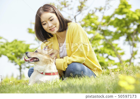 Wellness, puppy, walking, young woman Wellness, puppy, walking, young woman 50597173
