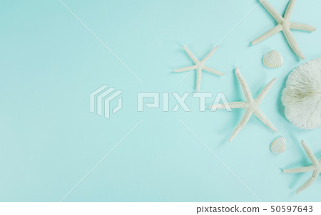 紙棕櫚葉夏天背景,紙概念 紙棕櫚葉夏天背景,紙概念 50597643