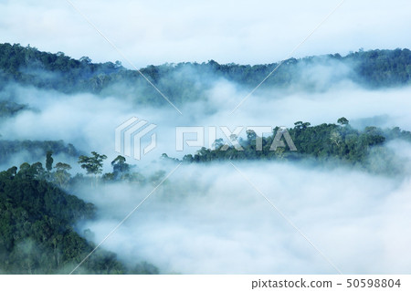 The scenery of the fog covered the mountain. The scenery of the fog covered the mountain. 50598804