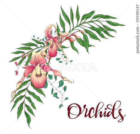 Floral design frame. Orchid, eucalyptus, greenery. Floral design frame. Orchid, eucalyptus, greenery. 50599147