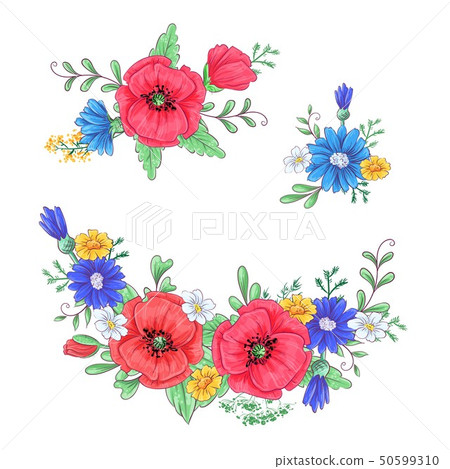 Set of red poppies and daisies. Hand drawing. Set of red poppies and daisies. Hand drawing. 50599310