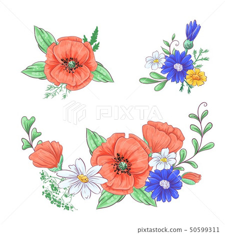 Set of red poppies and daisies. Hand drawing. 50599311