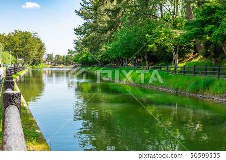 Spring water that follows the wisteria 50599535