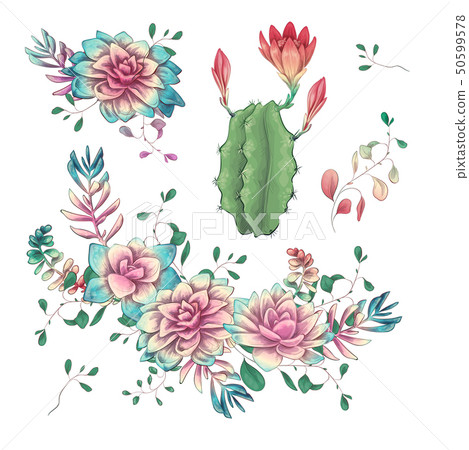 Succulents. Cacti hand drawn on a white - Stock Illustration [50599578 ...