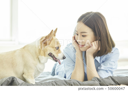 Wellness, puppies, houses, houses, young women Wellness, puppies, houses, houses, young women 50600047