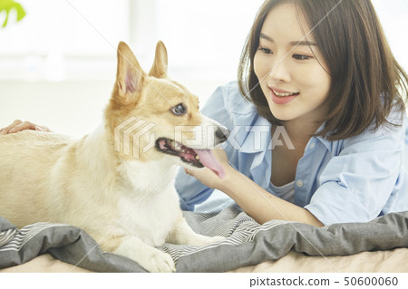 Wellness, puppies, houses, houses, young women Wellness, puppies, houses, houses, young women 50600060