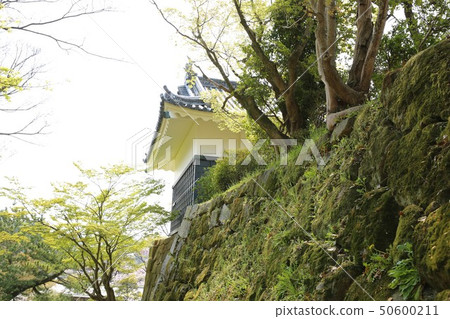 岡崎城 岡崎城 50600211
